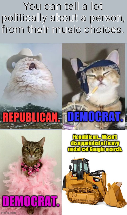 Music and Politics &....Cats. | You can tell a lot politically about a person, from their music choices. REPUBLICAN. DEMOCRAT. Republican... Wasn't disappointed at heavy metal cat Google search. DEMOCRAT. | image tagged in screaming cowboy cat | made w/ Imgflip meme maker