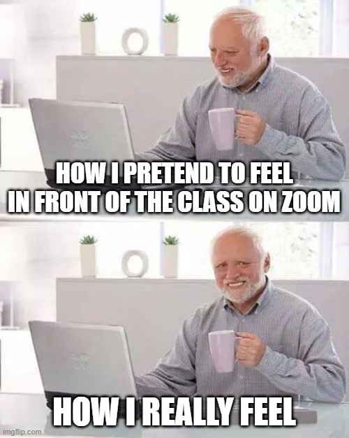 hide the pain on zoom | HOW I PRETEND TO FEEL IN FRONT OF THE CLASS ON ZOOM; HOW I REALLY FEEL | image tagged in memes,hide the pain harold | made w/ Imgflip meme maker