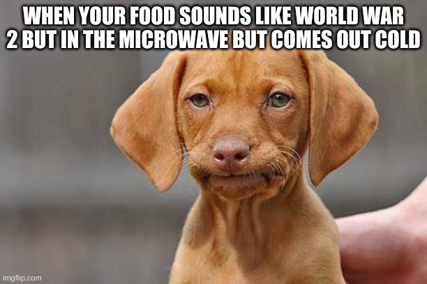 Dissapointed puppy | WHEN YOUR FOOD SOUNDS LIKE WORLD WAR 2 BUT IN THE MICROWAVE BUT COMES OUT COLD | image tagged in dissapointed puppy | made w/ Imgflip meme maker