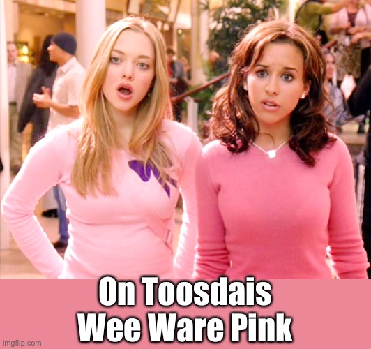 On Toosdais Wee Ware Pink | made w/ Imgflip meme maker