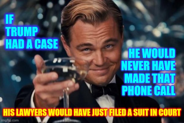 How Can Anyone Not Be Sick Of Trump's Lies | IF TRUMP 
HAD A CASE; HE WOULD NEVER HAVE MADE THAT PHONE CALL; HIS LAWYERS WOULD HAVE JUST FILED A SUIT IN COURT | image tagged in memes,leonardo dicaprio cheers,trump unfit unqualified dangerous,liar in chief,lock him up,trump lies | made w/ Imgflip meme maker
