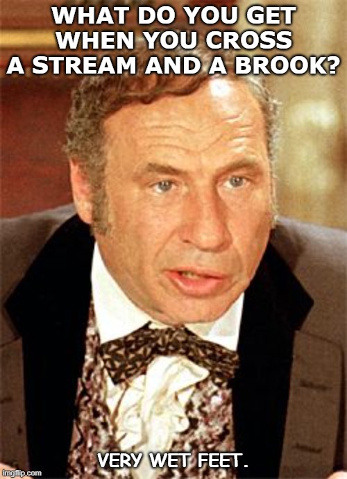 Daily Bad Dad Joke Jan 5 2021 |  WHAT DO YOU GET WHEN YOU CROSS A STREAM AND A BROOK? VERY WET FEET. | image tagged in mel brooks | made w/ Imgflip meme maker