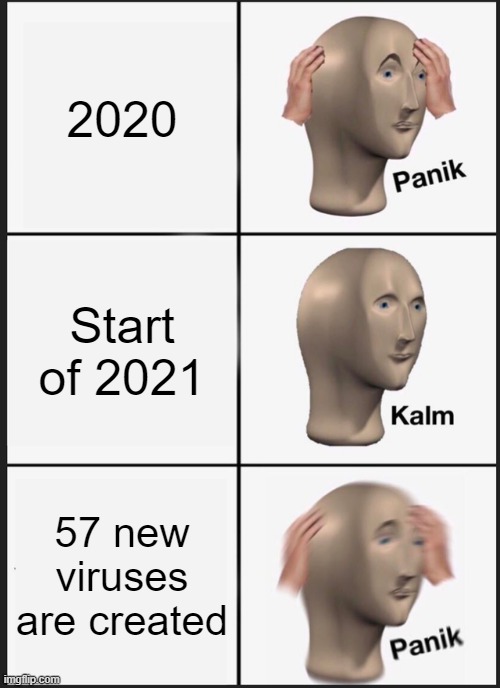 what 2021 is gonna be like | 2020; Start of 2021; 57 new viruses are created | image tagged in memes,panik kalm panik | made w/ Imgflip meme maker