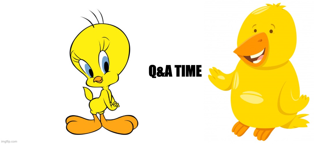 Q&A time | Q&A TIME | image tagged in canary bird,tweety | made w/ Imgflip meme maker