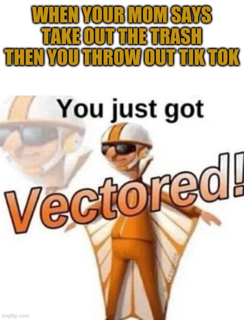 sone long gay tik tok | WHEN YOUR MOM SAYS TAKE OUT THE TRASH THEN YOU THROW OUT TIK TOK | image tagged in blank white template,you just got vectored | made w/ Imgflip meme maker