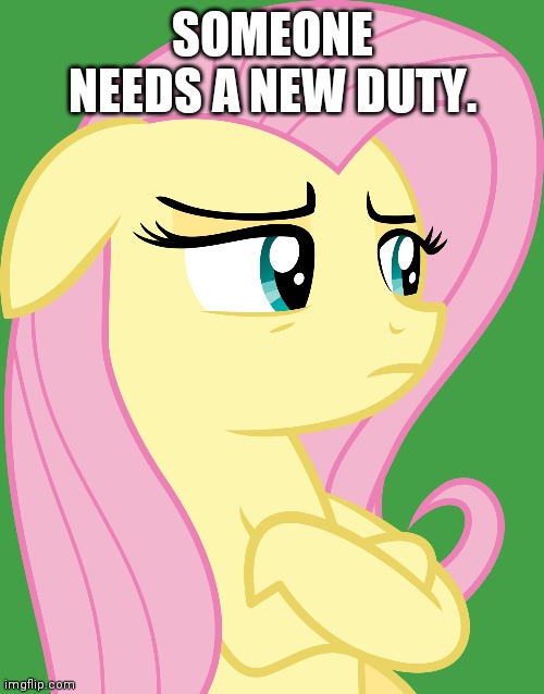 Suspicious Fluttershy (MLP) | SOMEONE NEEDS A NEW DUTY. | image tagged in suspicious fluttershy mlp | made w/ Imgflip meme maker