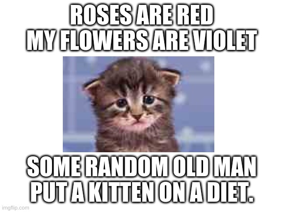 Kitten on a diet | ROSES ARE RED
MY FLOWERS ARE VIOLET; SOME RANDOM OLD MAN PUT A KITTEN ON A DIET. | image tagged in blank white template | made w/ Imgflip meme maker