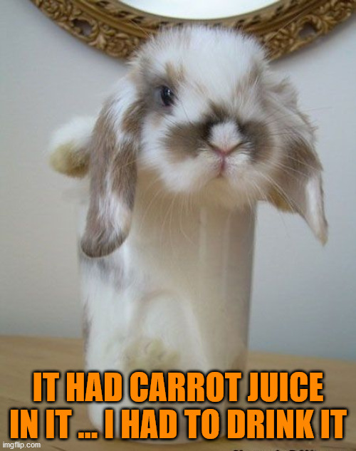 IT HAD CARROT JUICE IN IT ... I HAD TO DRINK IT | made w/ Imgflip meme maker