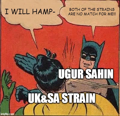 Batman Slapping Robin Meme | I WILL HAMP- BOTH OF THE STRAINS ARE NO MATCH FOR ME!!! UK&SA STRAIN UGUR SAHIN | image tagged in memes,batman slapping robin | made w/ Imgflip meme maker