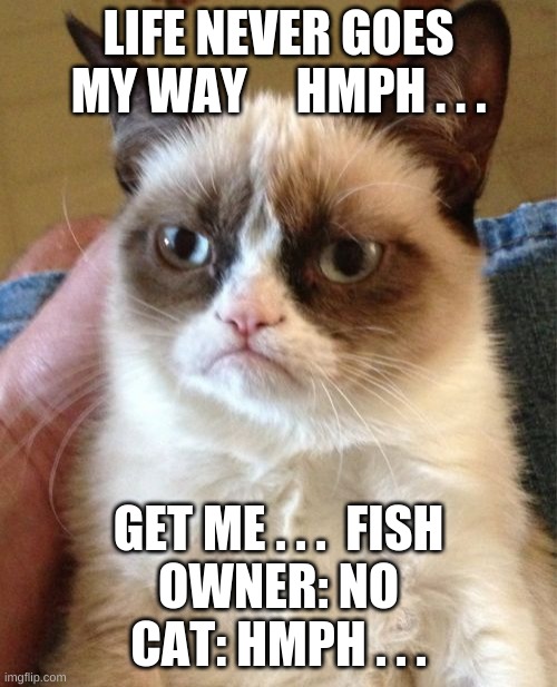 FISH NOW!! | LIFE NEVER GOES MY WAY     HMPH . . . GET ME . . .  FISH

OWNER: NO

CAT: HMPH . . . | image tagged in memes,grumpy cat | made w/ Imgflip meme maker