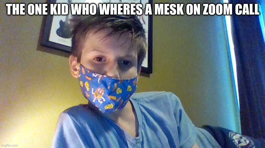 the one kid | THE ONE KID WHO WHERES A MESK ON ZOOM CALL | image tagged in memes | made w/ Imgflip meme maker