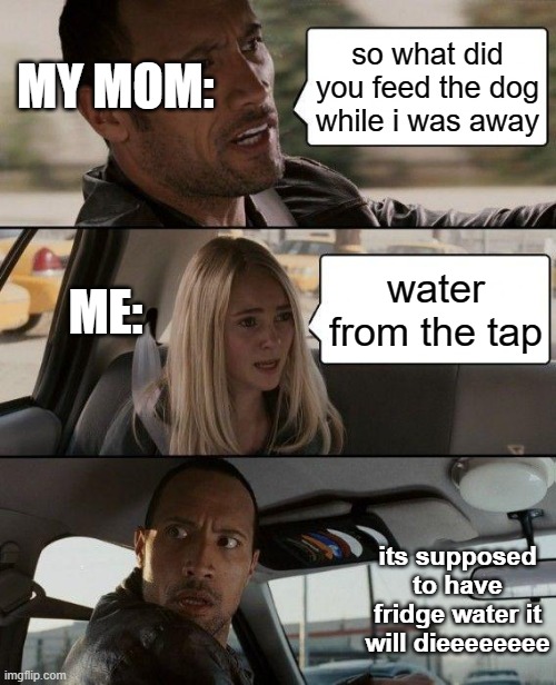 literally it makes no diffrence and at first i thought this was nicholas cage | MY MOM:; so what did you feed the dog while i was away; ME:; water from the tap; its supposed to have fridge water it will dieeeeeeee | image tagged in memes,the rock driving | made w/ Imgflip meme maker