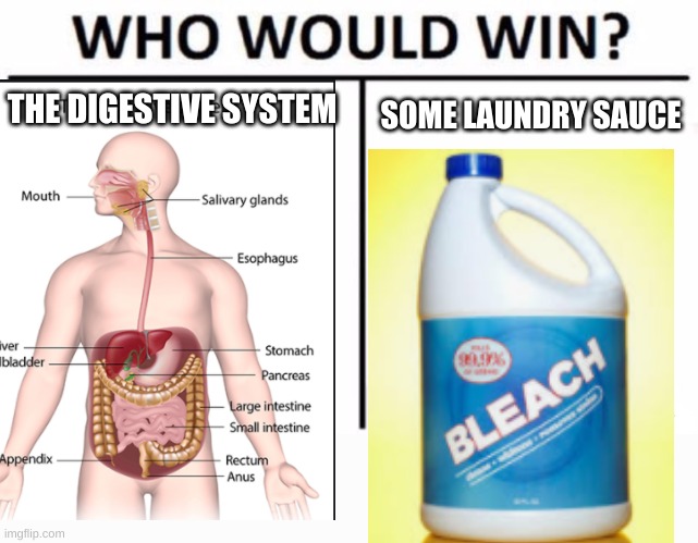 THE DIGESTIVE SYSTEM; SOME LAUNDRY SAUCE | image tagged in memes,who would win | made w/ Imgflip meme maker