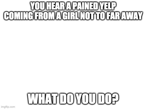 RP | YOU HEAR A PAINED YELP COMING FROM A GIRL NOT TO FAR AWAY; WHAT DO YOU DO? | image tagged in blank white template | made w/ Imgflip meme maker