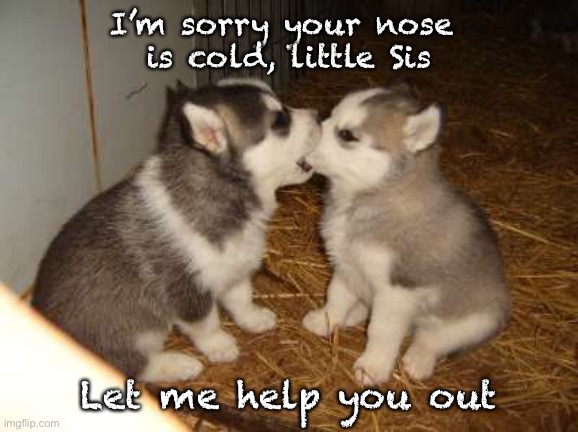 Cute Puppies Meme | I’m sorry your nose 
is cold, little Sis; Let me help you out | image tagged in memes,cute puppies | made w/ Imgflip meme maker