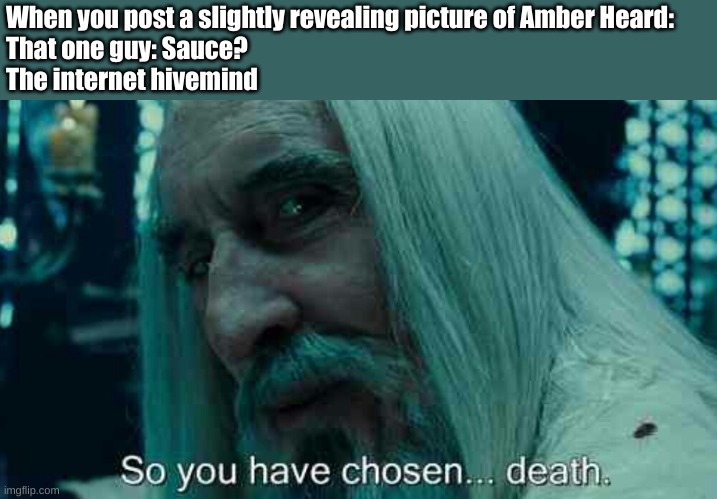 step one of a trap is to lay the bait | When you post a slightly revealing picture of Amber Heard:
That one guy: Sauce?
The internet hivemind | image tagged in so you have chosen death,johnny depp,justice league,amber heard,simp,it's a trap | made w/ Imgflip meme maker