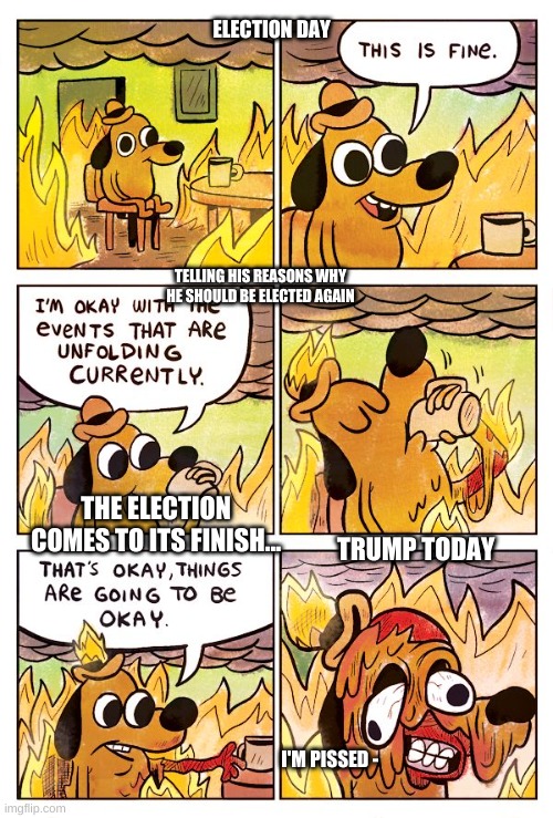 elections of 2020 be like | ELECTION DAY; TELLING HIS REASONS WHY HE SHOULD BE ELECTED AGAIN; THE ELECTION COMES TO ITS FINISH... TRUMP TODAY; I'M PISSED - | image tagged in this is fine dog | made w/ Imgflip meme maker