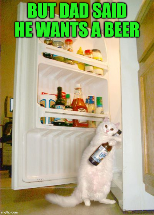 BUT DAD SAID HE WANTS A BEER | image tagged in cats | made w/ Imgflip meme maker