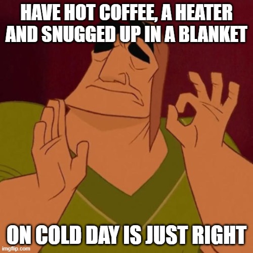 this is just rightttt | HAVE HOT COFFEE, A HEATER AND SNUGGED UP IN A BLANKET; ON COLD DAY IS JUST RIGHT | image tagged in pacha perfect | made w/ Imgflip meme maker