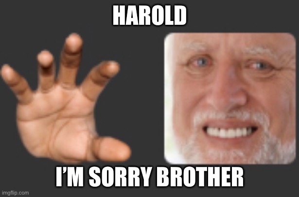 this is in memechat | HAROLD; I’M SORRY BROTHER | image tagged in hide the pain harold,memechat | made w/ Imgflip meme maker