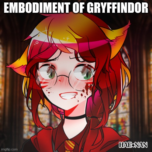 EMBODIMENT OF GRYFFINDOR | made w/ Imgflip meme maker