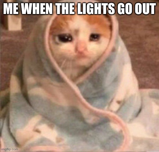 Childhood fears | ME WHEN THE LIGHTS GO OUT | image tagged in awkward moment sealion | made w/ Imgflip meme maker
