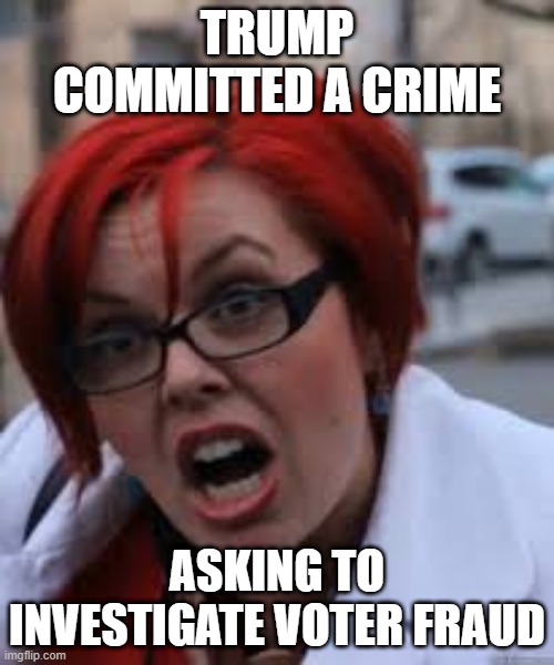 SJW Triggered | TRUMP COMMITTED A CRIME; ASKING TO INVESTIGATE VOTER FRAUD | image tagged in sjw triggered | made w/ Imgflip meme maker