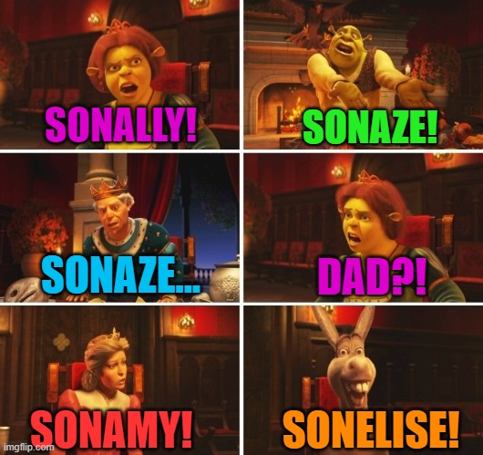 Ships in a nutshell | SONALLY! SONAZE! SONAZE... DAD?! SONAMY! SONELISE! | image tagged in shrek fiona harold donkey | made w/ Imgflip meme maker