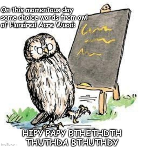 birthday words from owl of hundred acre wood | On this momentous day 
some choice words from owl 
of Hundred Acre Wood:; HIPY PAPY BTHETHDTH THUTHDA BTHUTHDY | image tagged in happy birthday,hundred acre wood,owl | made w/ Imgflip meme maker