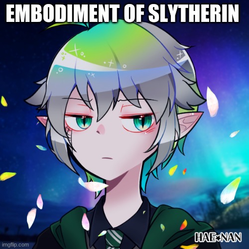 EMBODIMENT OF SLYTHERIN | made w/ Imgflip meme maker