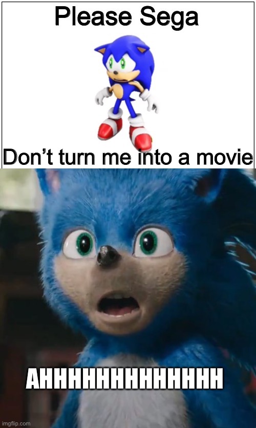 When sonic find out a movie... | Please Sega; Don’t turn me into a movie; AHHHHHHHHHHHHH | image tagged in please sega,sonic movie | made w/ Imgflip meme maker