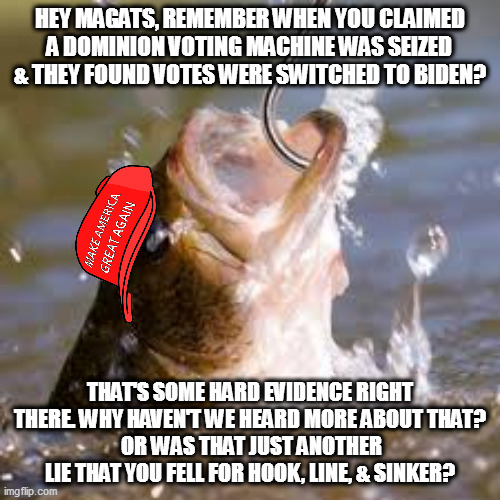 MAGAts swallow anything trump shoves down their throats. | HEY MAGATS, REMEMBER WHEN YOU CLAIMED A DOMINION VOTING MACHINE WAS SEIZED & THEY FOUND VOTES WERE SWITCHED TO BIDEN? THAT'S SOME HARD EVIDENCE RIGHT THERE. WHY HAVEN'T WE HEARD MORE ABOUT THAT?
 OR WAS THAT JUST ANOTHER LIE THAT YOU FELL FOR HOOK, LINE, & SINKER? | image tagged in fish hook,maga suckers,trump lies | made w/ Imgflip meme maker