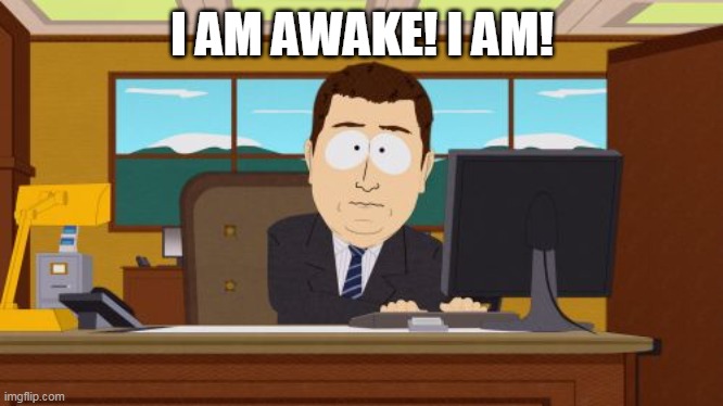 Barely awake | I AM AWAKE! I AM! | image tagged in memes,denial,sleep,zoom | made w/ Imgflip meme maker