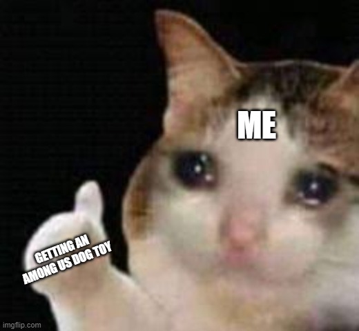 christmas | ME; GETTING AN AMONG US DOG TOY | image tagged in approved crying cat | made w/ Imgflip meme maker