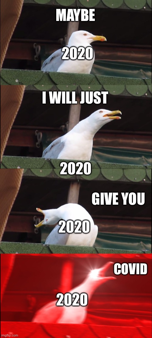Inhaling Seagull Meme | MAYBE; 2020; I WILL JUST; 2020; 2020; GIVE YOU; COVID; 2020 | image tagged in memes,inhaling seagull | made w/ Imgflip meme maker