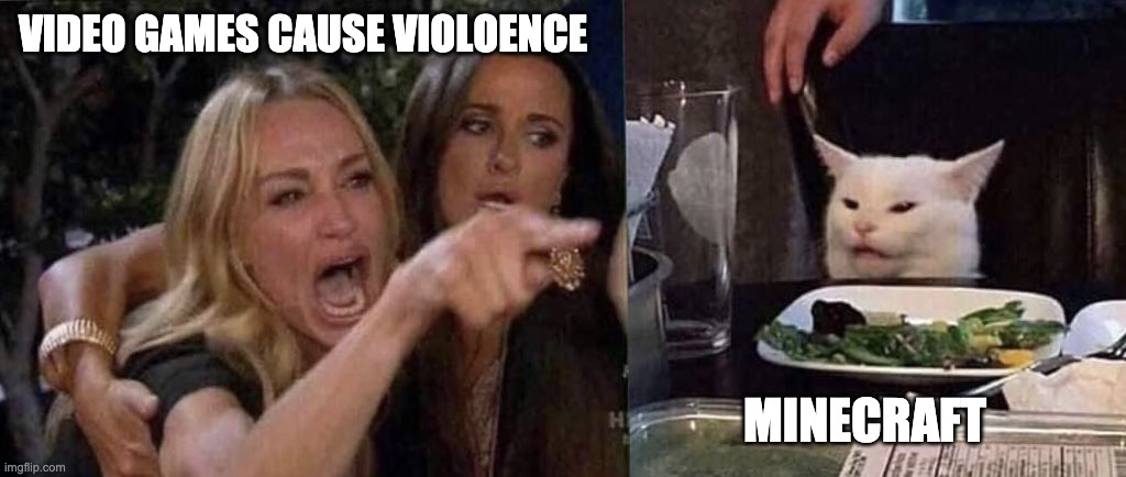 woman yelling at cat | VIDEO GAMES CAUSE VIOLOENCE; MINECRAFT | image tagged in woman yelling at cat | made w/ Imgflip meme maker