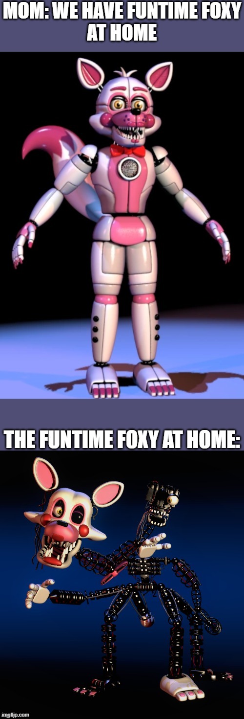 idek | MOM: WE HAVE FUNTIME FOXY
AT HOME; THE FUNTIME FOXY AT HOME: | image tagged in before and after fnaf | made w/ Imgflip meme maker