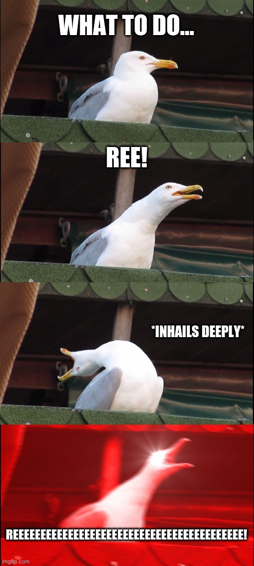 Inhaling Seagull | WHAT TO DO... REE! *INHAILS DEEPLY*; REEEEEEEEEEEEEEEEEEEEEEEEEEEEEEEEEEEEEEEEEE! | image tagged in memes,inhaling seagull | made w/ Imgflip meme maker