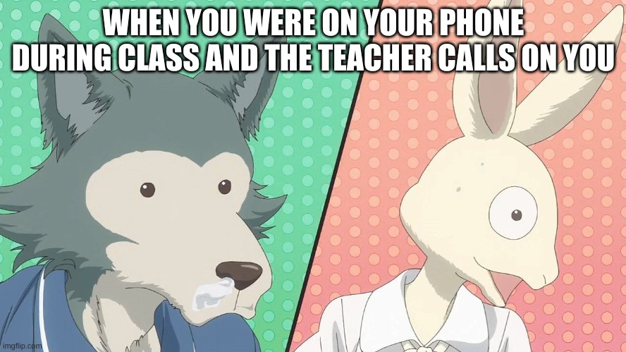 Thats me | WHEN YOU WERE ON YOUR PHONE DURING CLASS AND THE TEACHER CALLS ON YOU | image tagged in beastars nani the frick | made w/ Imgflip meme maker