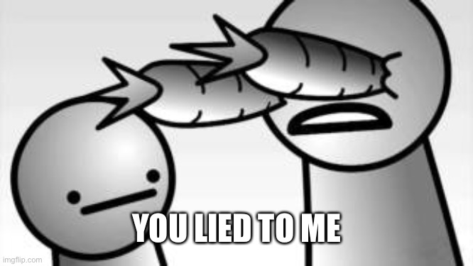 asdf you lied to me | YOU LIED TO ME | image tagged in asdf you lied to me | made w/ Imgflip meme maker