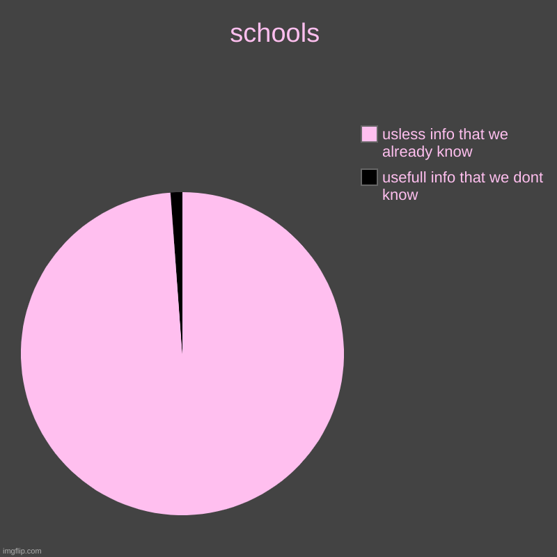 schools | usefull info that we dont know, usless info that we already know | image tagged in charts,pie charts | made w/ Imgflip chart maker