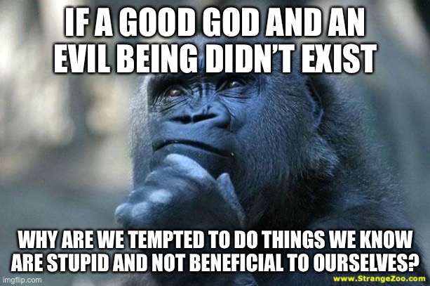 We always have a pull to do the wrong thing, even if we know better. We don’t have a “pull” to do good. | IF A GOOD GOD AND AN EVIL BEING DIDN’T EXIST; WHY ARE WE TEMPTED TO DO THINGS WE KNOW ARE STUPID AND NOT BENEFICIAL TO OURSELVES? | image tagged in deep thoughts,temptation,memes,question,satan,sin | made w/ Imgflip meme maker