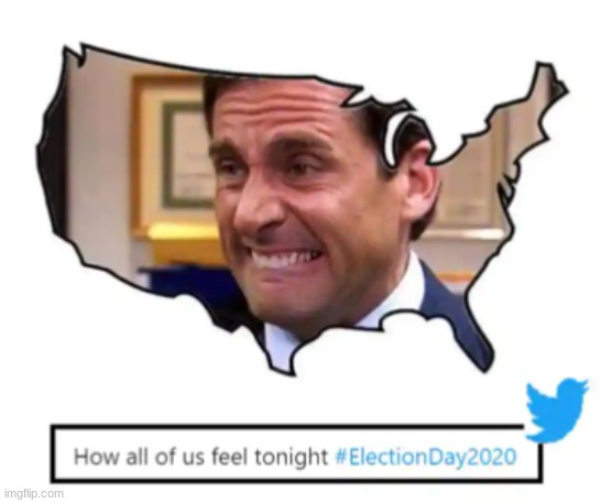 Election night 2020: | image tagged in election 2020,how we feel,2020 killn' us | made w/ Imgflip meme maker
