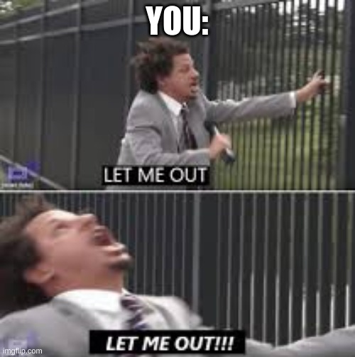 let me out | YOU: | image tagged in let me out | made w/ Imgflip meme maker