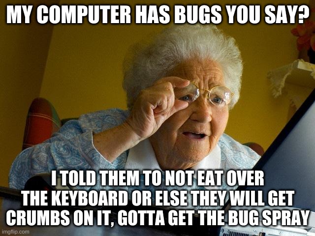 Aight this is the last meme, i never made it to my goal but, ima stay a few days maybe a week, but thats it | MY COMPUTER HAS BUGS YOU SAY? I TOLD THEM TO NOT EAT OVER THE KEYBOARD OR ELSE THEY WILL GET CRUMBS ON IT, GOTTA GET THE BUG SPRAY | image tagged in memes,grandma finds the internet | made w/ Imgflip meme maker