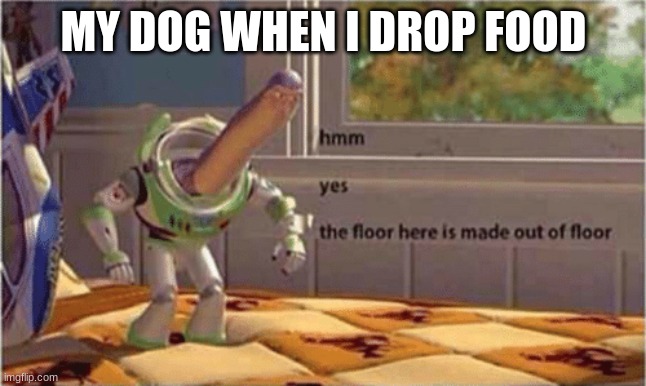 hmm yes the floor here is made out of floor | MY DOG WHEN I DROP FOOD | image tagged in hmm yes the floor here is made out of floor | made w/ Imgflip meme maker