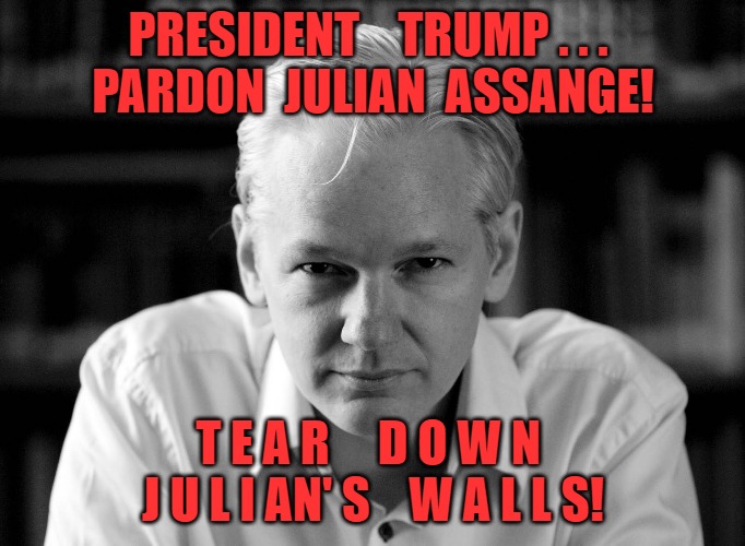 TEAR DOWN JULIANS WALLS | PRESIDENT    TRUMP . . . 
PARDON  JULIAN  ASSANGE! T E A R     D O W N  J U L I AN' S    W A L L S! | image tagged in julian assange | made w/ Imgflip meme maker