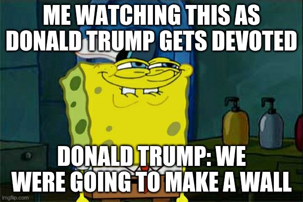 Don't You Squidward | ME WATCHING THIS AS DONALD TRUMP GETS DEVOTED; DONALD TRUMP: WE WERE GOING TO MAKE A WALL | image tagged in memes,don't you squidward | made w/ Imgflip meme maker