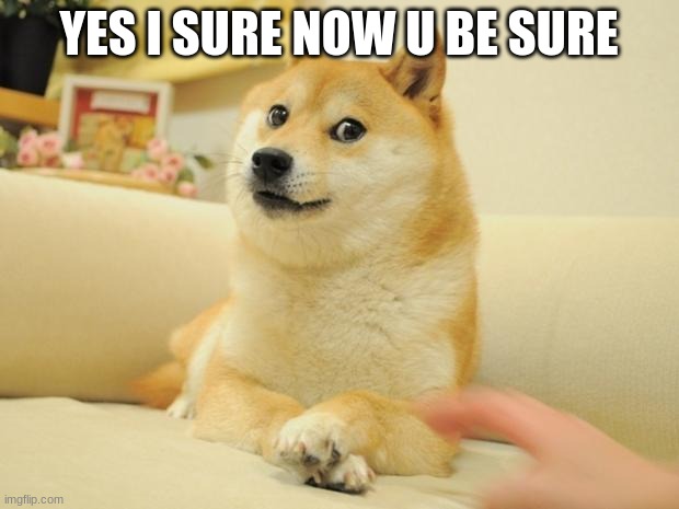 yes i sure | YES I SURE NOW U BE SURE | image tagged in memes,doge 2 | made w/ Imgflip meme maker