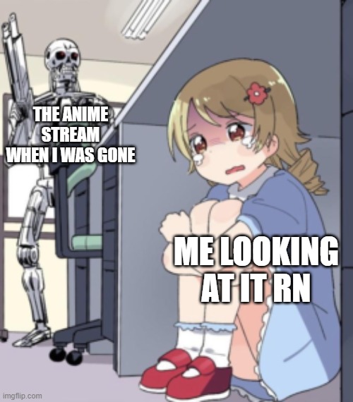 Well... ok | THE ANIME STREAM WHEN I WAS GONE; ME LOOKING AT IT RN | image tagged in scared anime girl | made w/ Imgflip meme maker